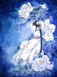 花盈纪
