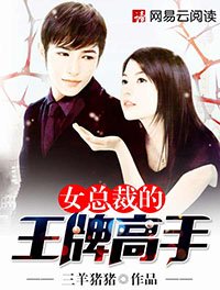 女總裁的王牌高手