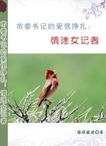 市委书记的爱恨挣扎：情迷女记者
